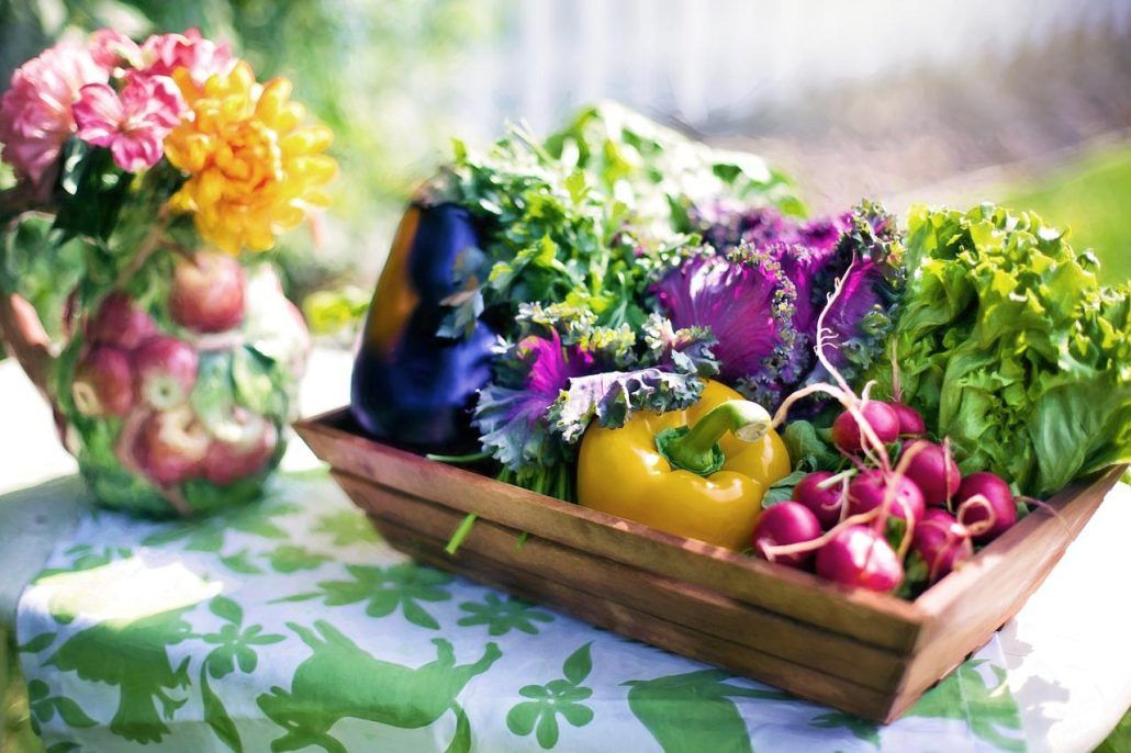 Comment conserver les fruits et légumes en été ?